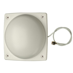 Intellinet Dual