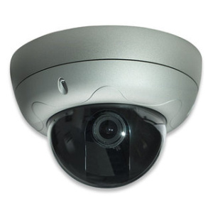 Intellinet PRO SERIES NETWORK HIGH RES Dome