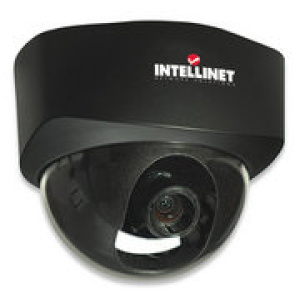 Intellinet NFD30 Network Dome Camera MPEG4 +
