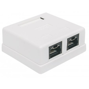Intellinet Locking Cat6 UTP Mount Box