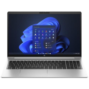 HP 455 G10 Series Pike Silver Aluminum Notebook