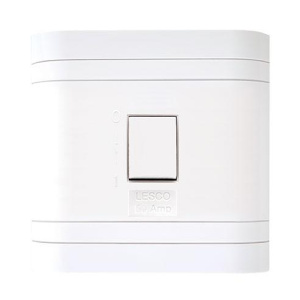 Lesco 2 Pole Flush Isolator Switch with Square