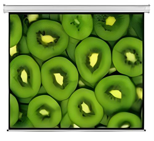 Esquire Electric Projector Screen 300 X 169 Esquire Electric Projector Screen 300 X 169