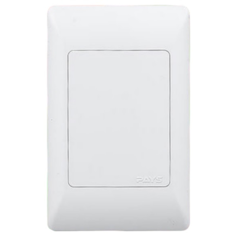 Noble Pays 4x2 Blank Cover Plate