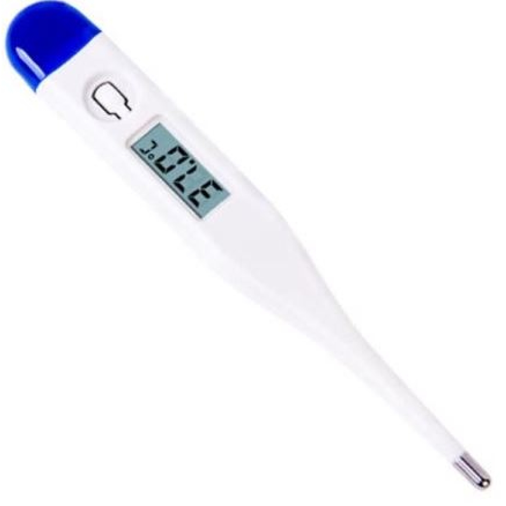Casey Blue Electronic Thermometer