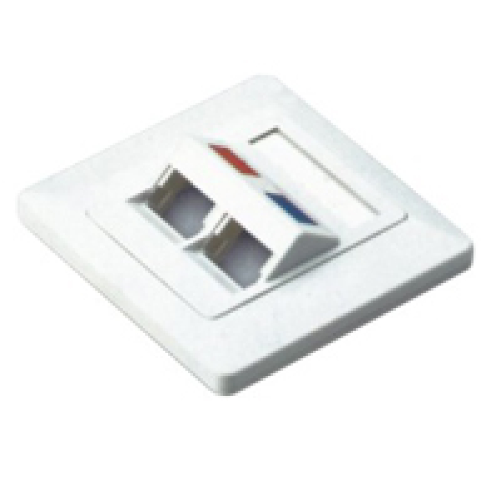 NetiX Angled Face Plate Dual Port with Shuttle