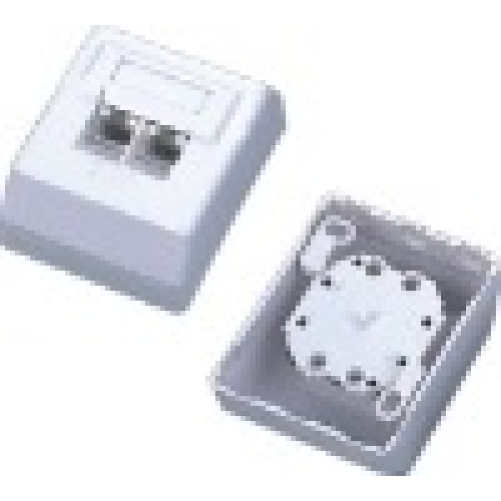 NetiX UTP CATE Wall Mount Box W